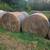 First cut hay round bales net wrapped 2 thumbnail