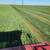 Beardless Wheat Hay rounds -- $100/bale 11 thumbnail