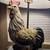 Lamp / Rooster 3 thumbnail