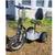 New 5 Star Electric  3 Wheel  Bike Scooter 2 thumbnail