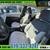 2021 Toyota Corolla LE**EZ FINANCING -LOW DOWN! 13 thumbnail