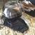 Harley Davidson Lady's Helmet 1 thumbnail