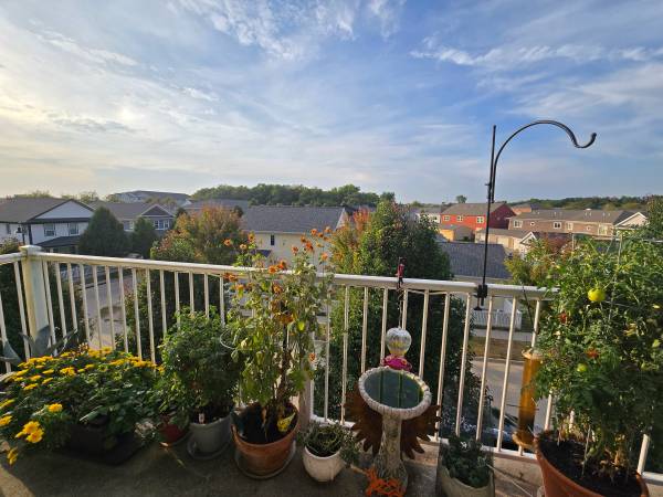 $1,600 / 2br - 1200ft2 - 2bed-2bath, 6month lease with option to extend. (Iowa City-Peninsula neighborhood.)63897405390211120