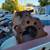 Jeep T-90 casing Cj-5 Cj-6 ,Willy's 2 thumbnail