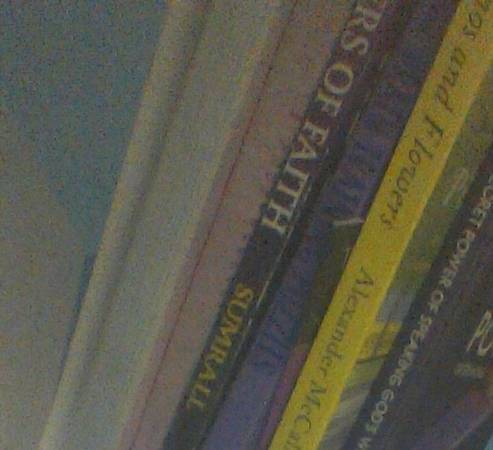 2008 Pioneers of Faith SUMERALL PUBLISH Dr Lester Robert Brown book gs 1