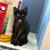 Kittens 5 thumbnail