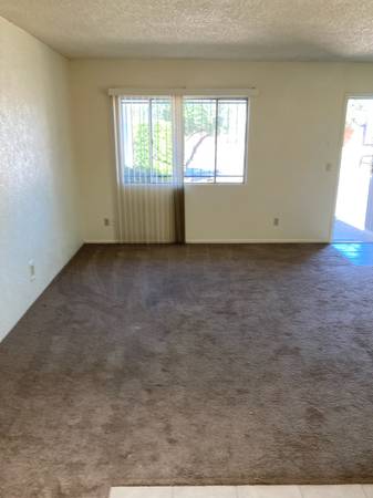 LARGE AND LIGHT 2 BR TRIPLEX - YOUR CAT WILL LOVE IT HERE! 1