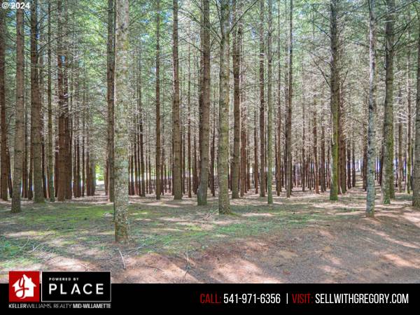 $349,900 Over 5 acres of buildable land just minutes from town. (Sweet Home, OR)63624698219009122