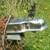 1993 galvanized Load Rite roller trailer 3 thumbnail