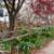 Expert garden services 1 thumbnail