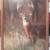 Wildlife pictures 1 thumbnail