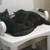 kittens 2 thumbnail
