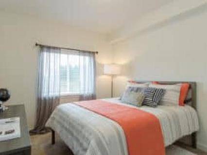 $1,513 / 525ft2 - Super fast fiber-internet ready, Abundant counter space (Lacey)64031309533186123