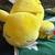 Pokémon Plushies 3 thumbnail