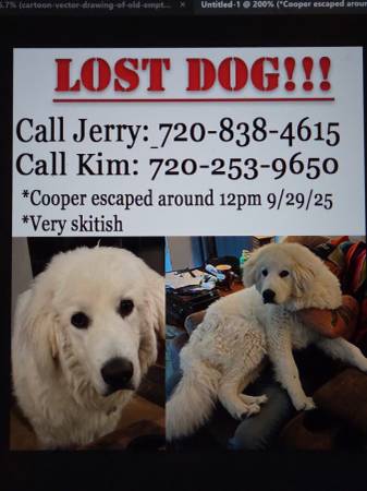 Cooper is Missing (Monument)63920762141570120
