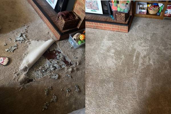 Carpet Stretching and Repair in Trade for Your Old Musical Instruments 1