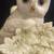 Lenox "Autumn Song" Cornucopia Owl Porcelain Music Box Sculpture 7 thumbnail