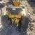 123 CUB CADET--OS 7 thumbnail
