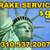 Brakes 2 thumbnail
