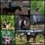 Broke, Trail ridden, Arabian Gelding 9 thumbnail
