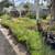 *Plant & Tree Sale* 6 thumbnail