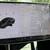 2018 Tesla Model 3 6 thumbnail