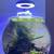 Very  nice one and a half gallon tank 4 thumbnail