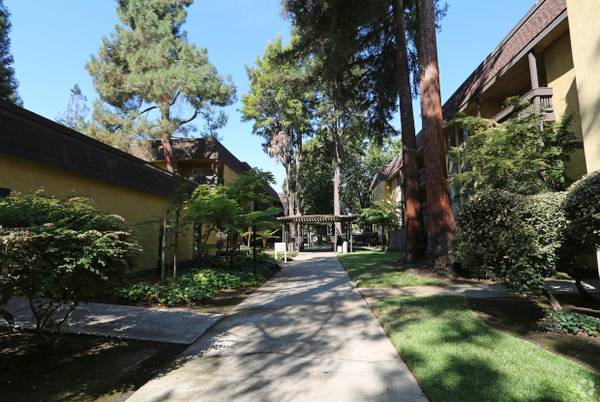 $1,899 / 1hab - 725ft2 - ¡Ubicado en Concord!, Armarios empotrados, 1 dormitorio (concord / pleasant hill / martinez)63813560982529124