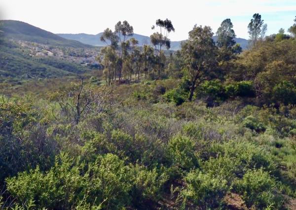 $329,000 Tranquil 4.5 Acre Land with Panoramic Ocean and Mountain Views! (Vista)64141630088323122