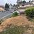 TREE &STUMP GRINDING &STUMP REMOVAL SERVICE 13 thumbnail