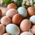 HATCHING EGGS 2 thumbnail