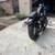 2014 Harley 48 XL1200 5 thumbnail