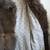 women's fur coat 4 thumbnail