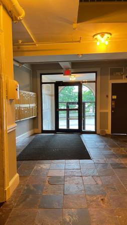$950 / 3br - 660ft2 - 1 Room available in a 3 bedroom apart in a quiet and safe neighborho (Brighton)63797280842753121