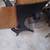 End Table 2 thumbnail