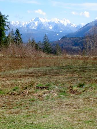 $499,000 Build Your Dream Estate, or live in the existing Mobile Home (Monroe)63489119827073121