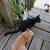 Kittens 1 thumbnail