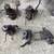 GM Original OEM Saginaw Power Steering Gearboxes 3 thumbnail