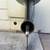 Mercury Outboard lower unit 4 thumbnail