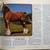 Country’s Reminisce Hitch Official Souvenir Program 6 thumbnail