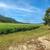 6.34 Flat Acres in Spallumcheen, BC! 5 beds, 40x80 Shop & Income Suite 11 thumbnail