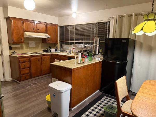 $1,175 / 1br - 150ft2 - Room for Rent near El Camino, Homestead & Lawrence Expressway (sunnyvale)63868038458755123
