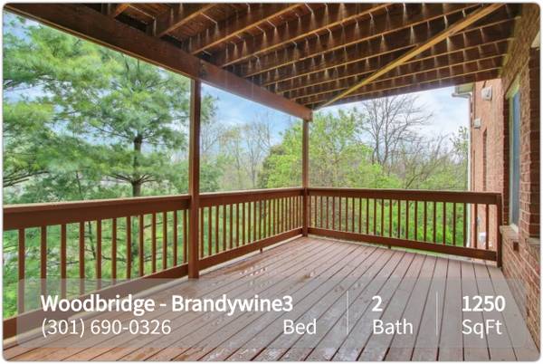 $1,536 / 3br - 1250ft2 - Come home to Woodbridge - Brandywine in Hagerstown. Garden-style livin (Hagerstown - near Meritus Medical Center)63896036337410120