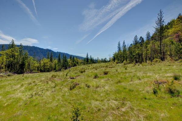 $210,000 Almost 80 Acres with Homesite Approval! (Prospect)64318774763779120