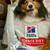 Science Adult Dog Food Hill Brands $30 each  or 3 bags for $70 6 thumbnail