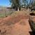 Pressure washing & tree service landscaping 1 stop shop 18 thumbnail