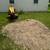 🌳🌲🏡Tree Service,Tree Removal,Stump Grinding,Tree Trimming 14 thumbnail
