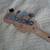 old squier jazz bass guitar 3 thumbnail