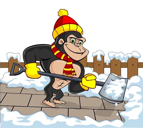 Residential Snow Removal 1