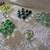 Marbles Marbles and More Marbles 13 thumbnail